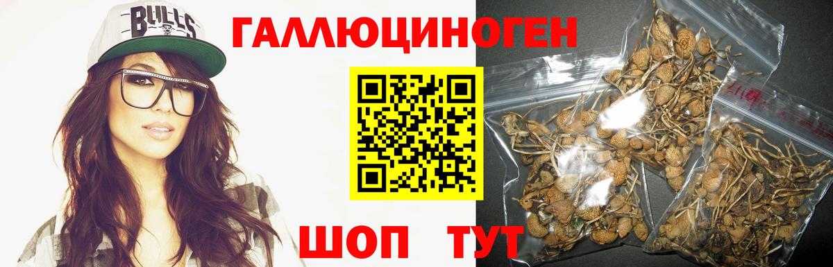 где продают   Псилоцибиновые грибы GOLDEN TEACHER  Вход с VPN  Узловая 