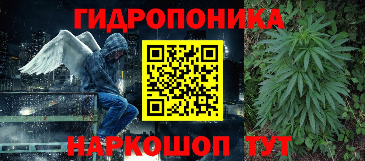 Канабис сатива Узловая